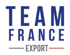 Logo Team France Export